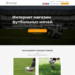 Разработка, создание и продвижение сайтов спорттоваров профессионалами | Фото №5
