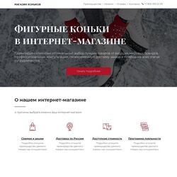 Разработка, создание и продвижение сайтов спорттоваров профессионалами | Фото №30