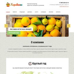 Сайты под ключ для доставки, продажи автомобилей и других транспортных услуг | Фото №33