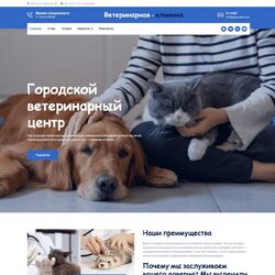 Создание сайта - Ваша клиника в цифровом пространстве | Фото №18